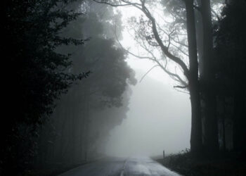 Photo by Michael Mouritz on Unsplash